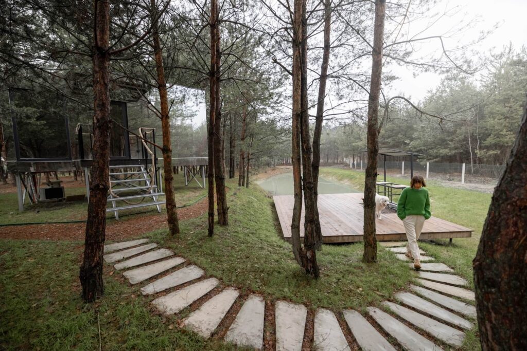 landscaping